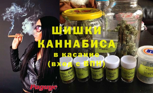 сатива Семёнов