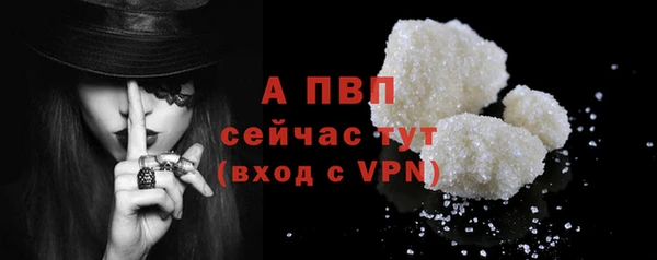 ECSTASY Семикаракорск