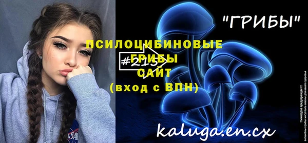 хмурый Слюдянка