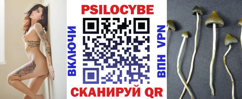 Купить где  Ковдор  Псилоцибиновые грибы ЛСД 